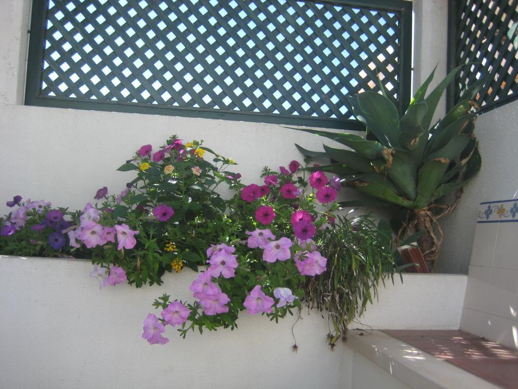 A Casinha Hotel Areia Branca Exterior photo